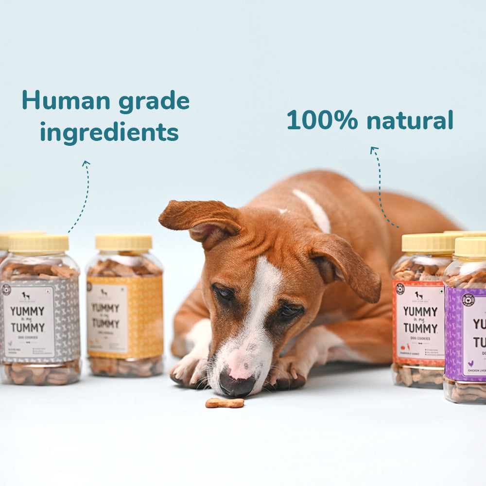 HUFT YIMT Banana & Oats Vegetarian Dog Biscuits - Heads Up For Tails