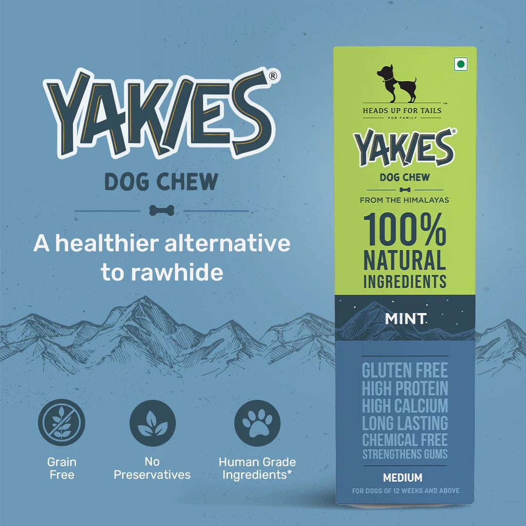HUFT Yakies Vegetarian Natural Chew Bone - Mint