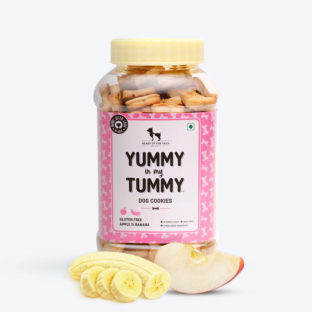 HUFT YIMT Apple & Banana Vegetarian Dog Biscuits - Gluten Free - Heads Up For Tails