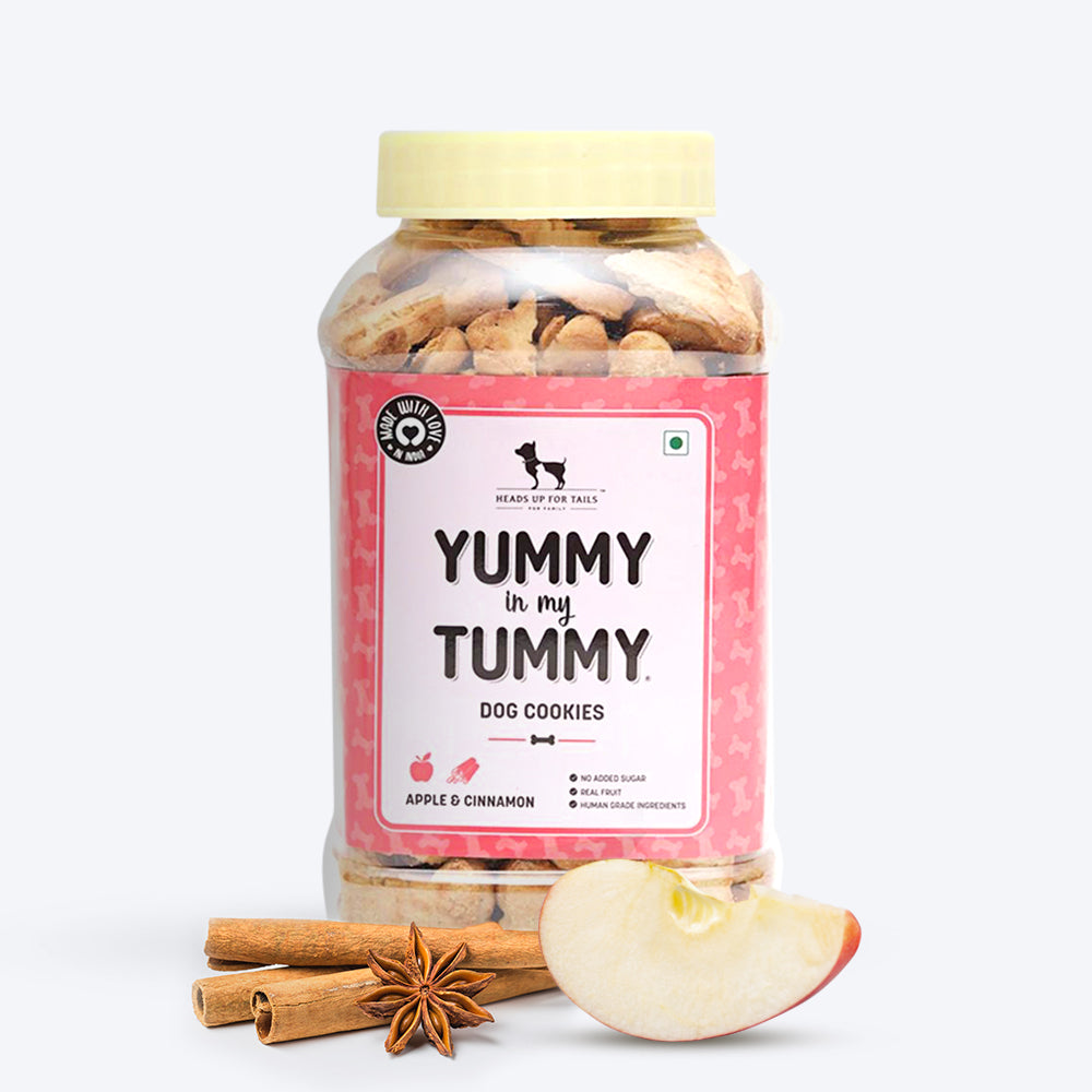 HUFT YIMT Apple and Cinnamon Vegetarian Dog Biscuits - Heads Up For Tails