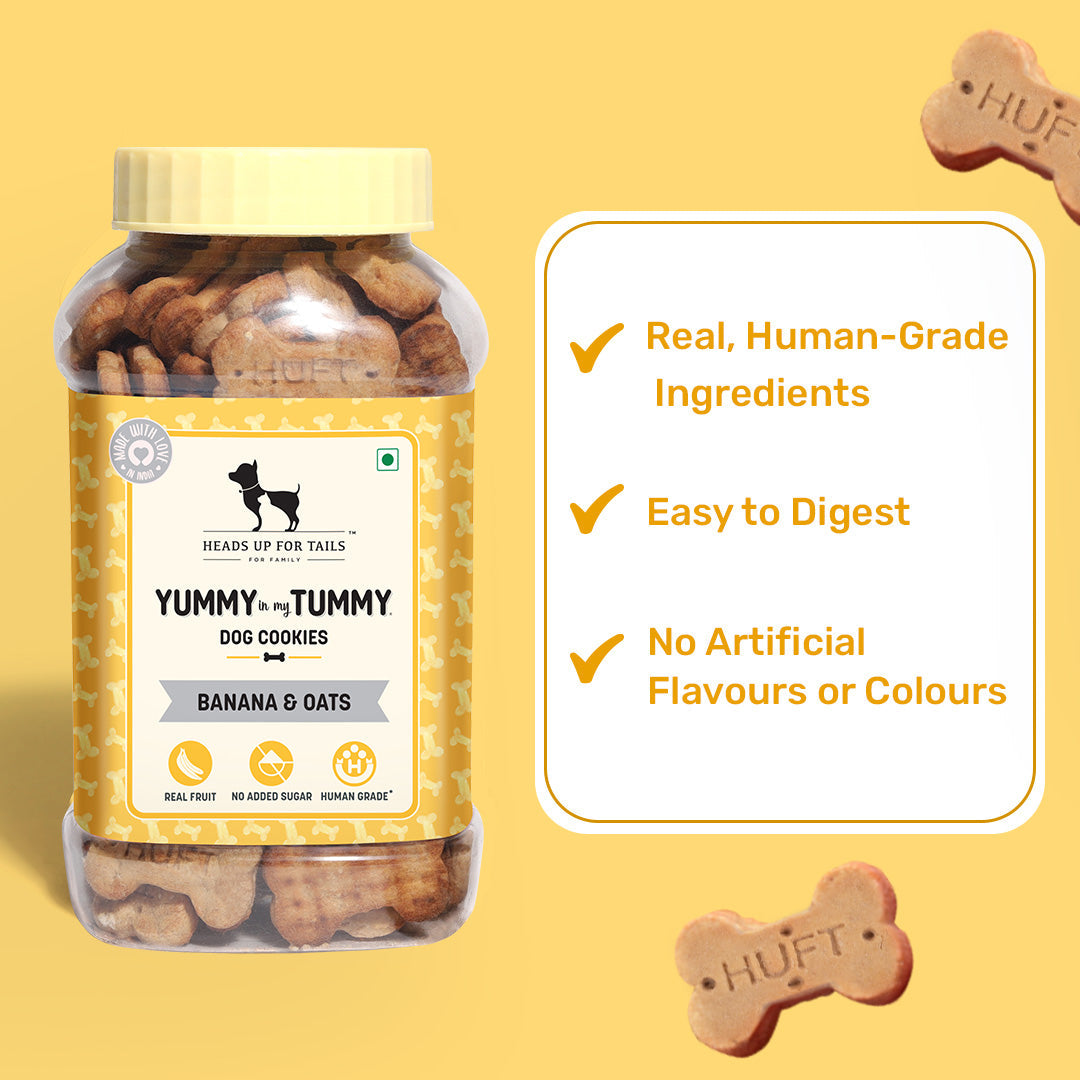 HUFT YIMT Banana & Oats Vegetarian Dog Biscuits - Heads Up For Tails
