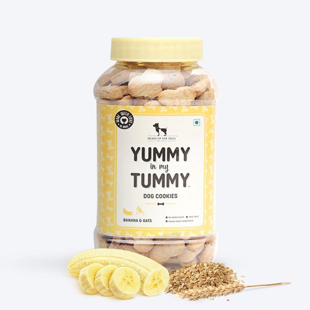 HUFT YIMT Banana & Oats Vegetarian Dog Biscuits - Heads Up For Tails