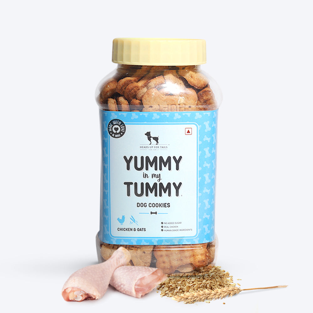 HUFT YIMT Chicken and Oats Dog Biscuits - Heads Up For Tails
