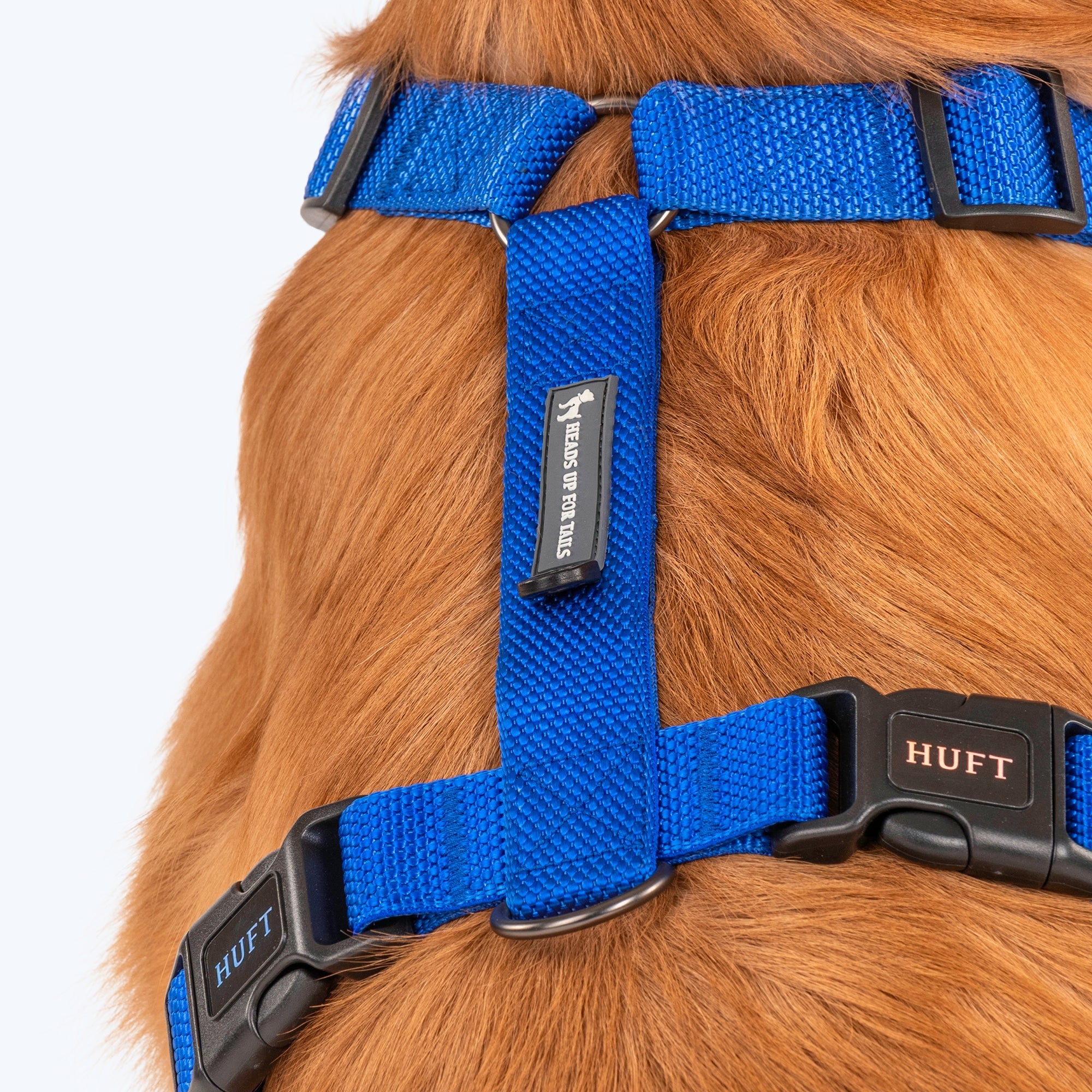 HUFT Basics Dog H-Harness - Cobalt Blue - Heads Up For Tails