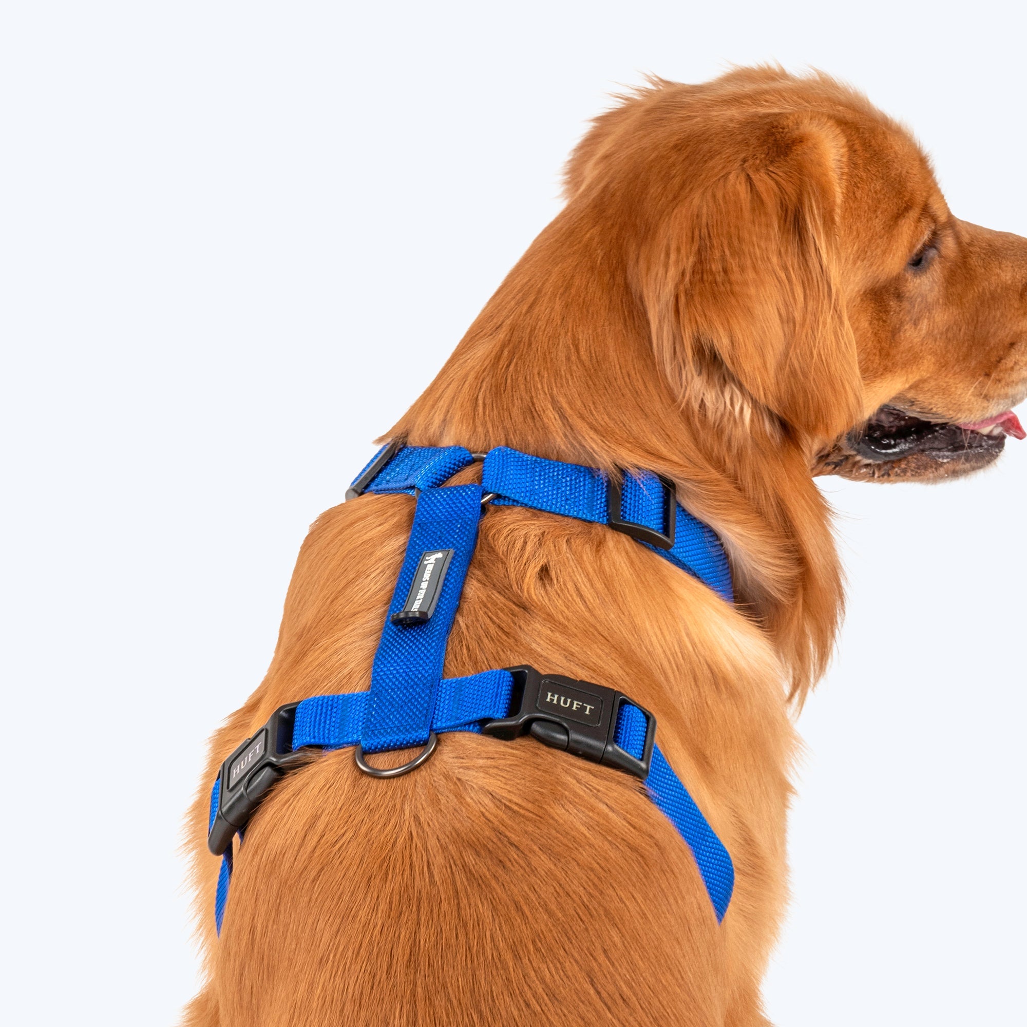 HUFT Basics Dog H-Harness - Cobalt Blue - Heads Up For Tails