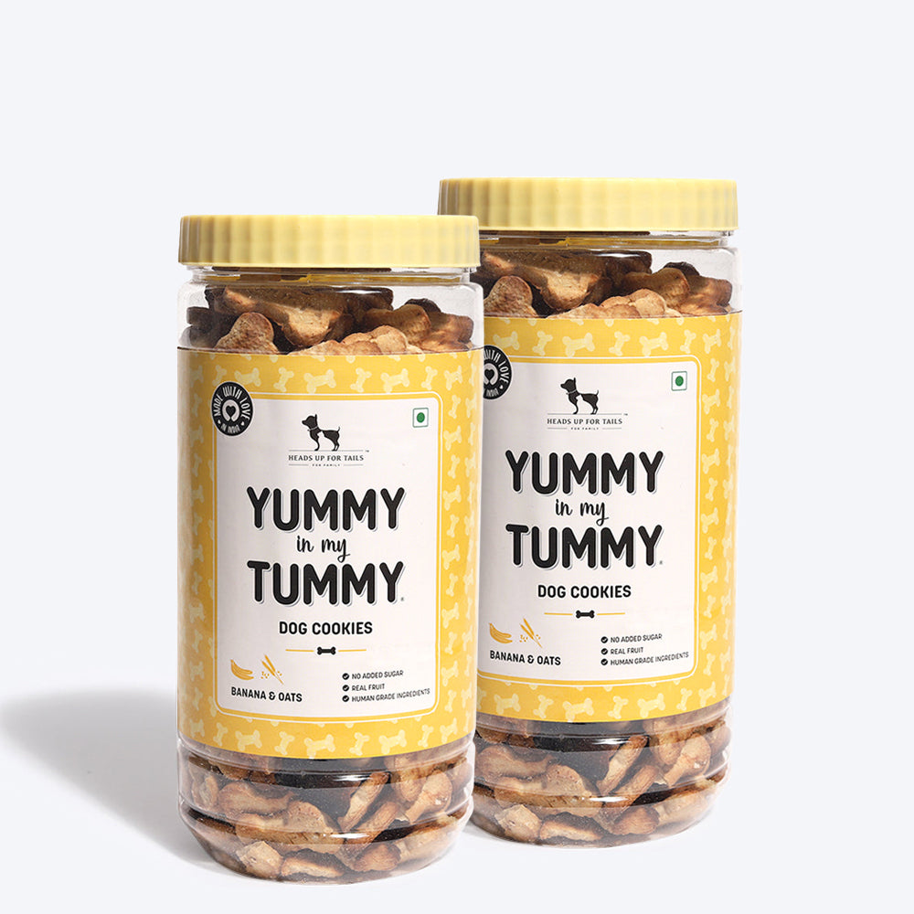 HUFT YIMT Banana & Oats Vegetarian Dog Biscuits - Heads Up For Tails