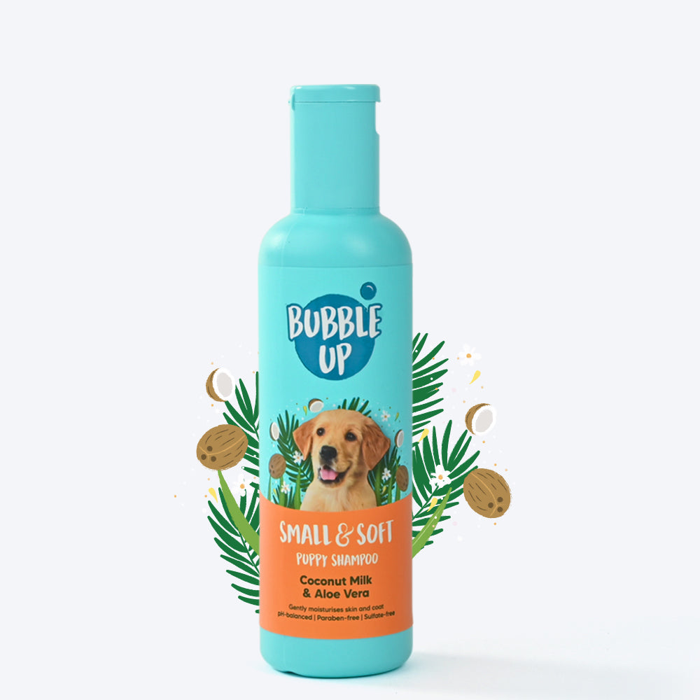 Small dog shampoo fashion