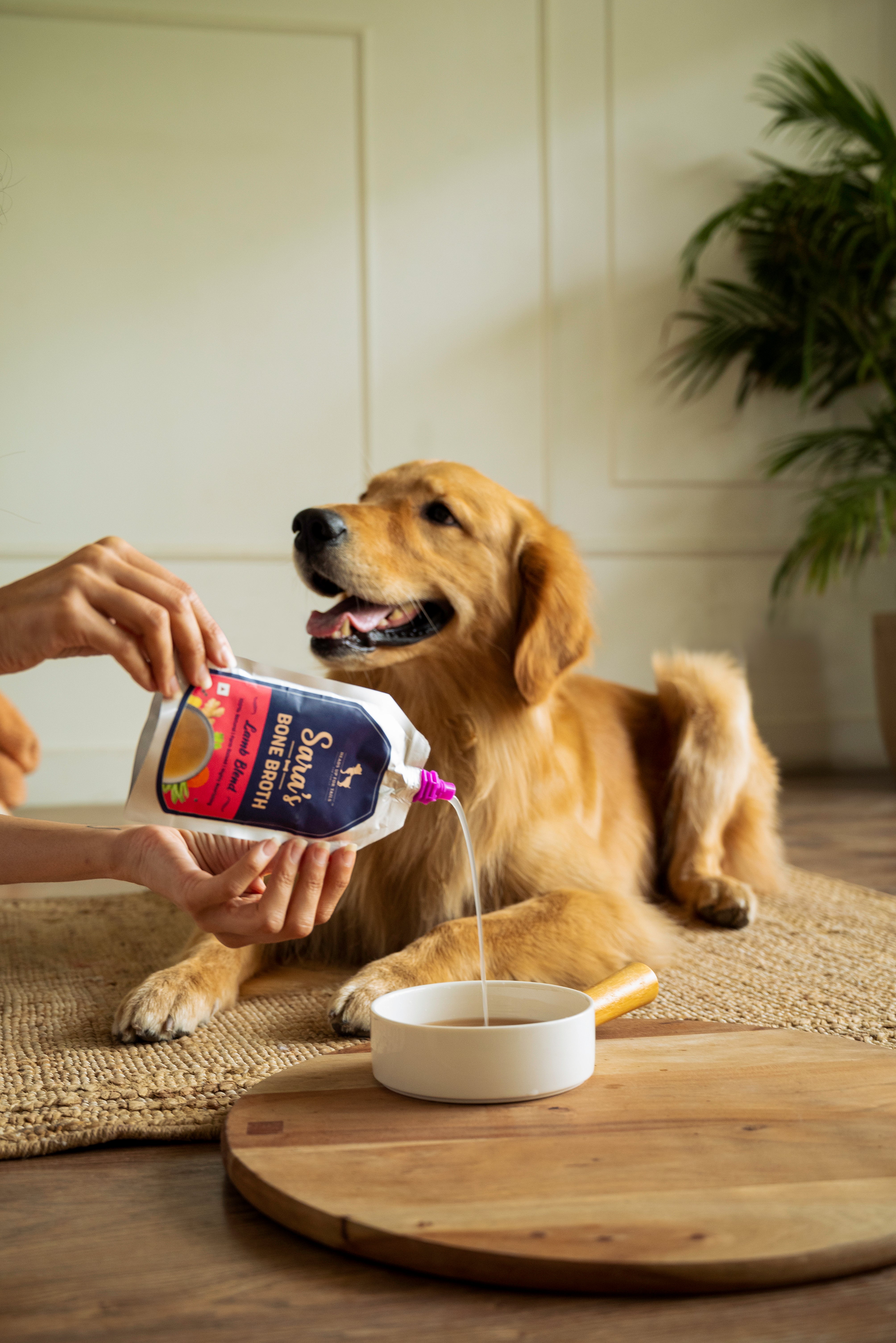 Bone Broth