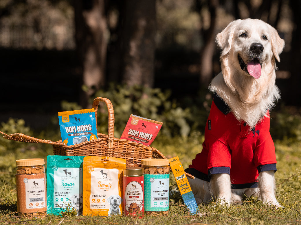 Treats & Biscuits