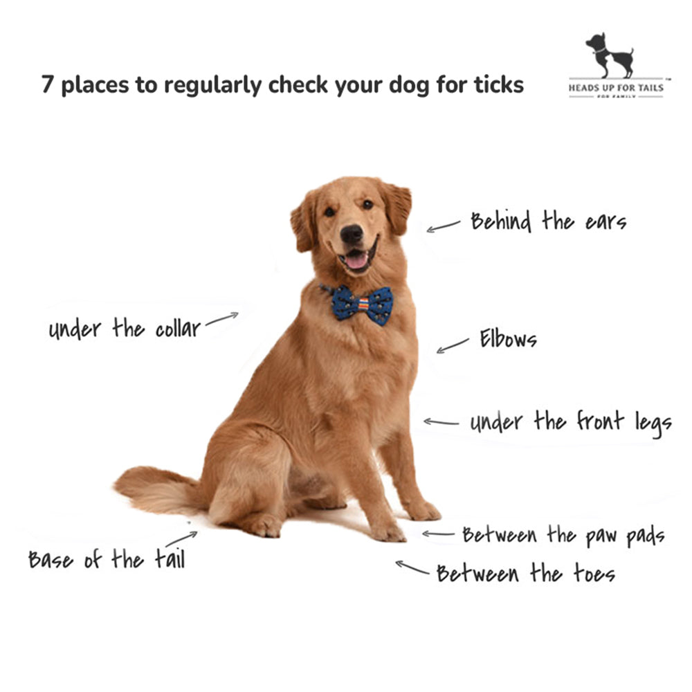 HUFT Organic Anti-Tick and Flea Spray for Dogs - 200 ml - Heads Up For Tails