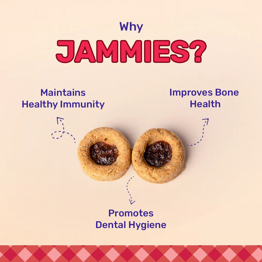 HUFT Jammies - Chicken Filled With Mixed Fruit Jam Dog Treats - 100 g