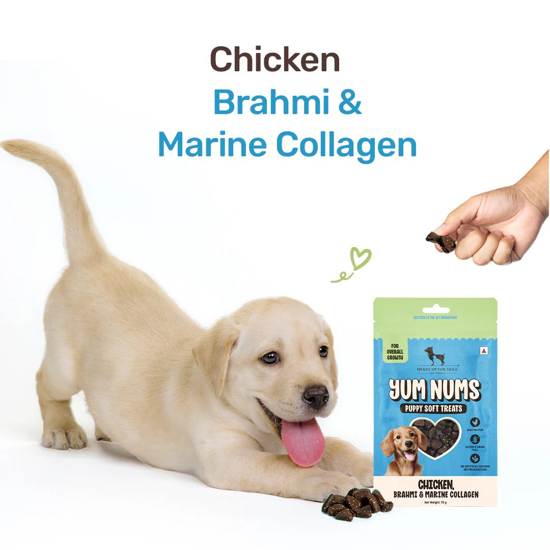 HUFT Yum Nums Puppy Treats Soft & Chewy Sticks Brahmi & Marine Collagen With Chicken- 70 gm