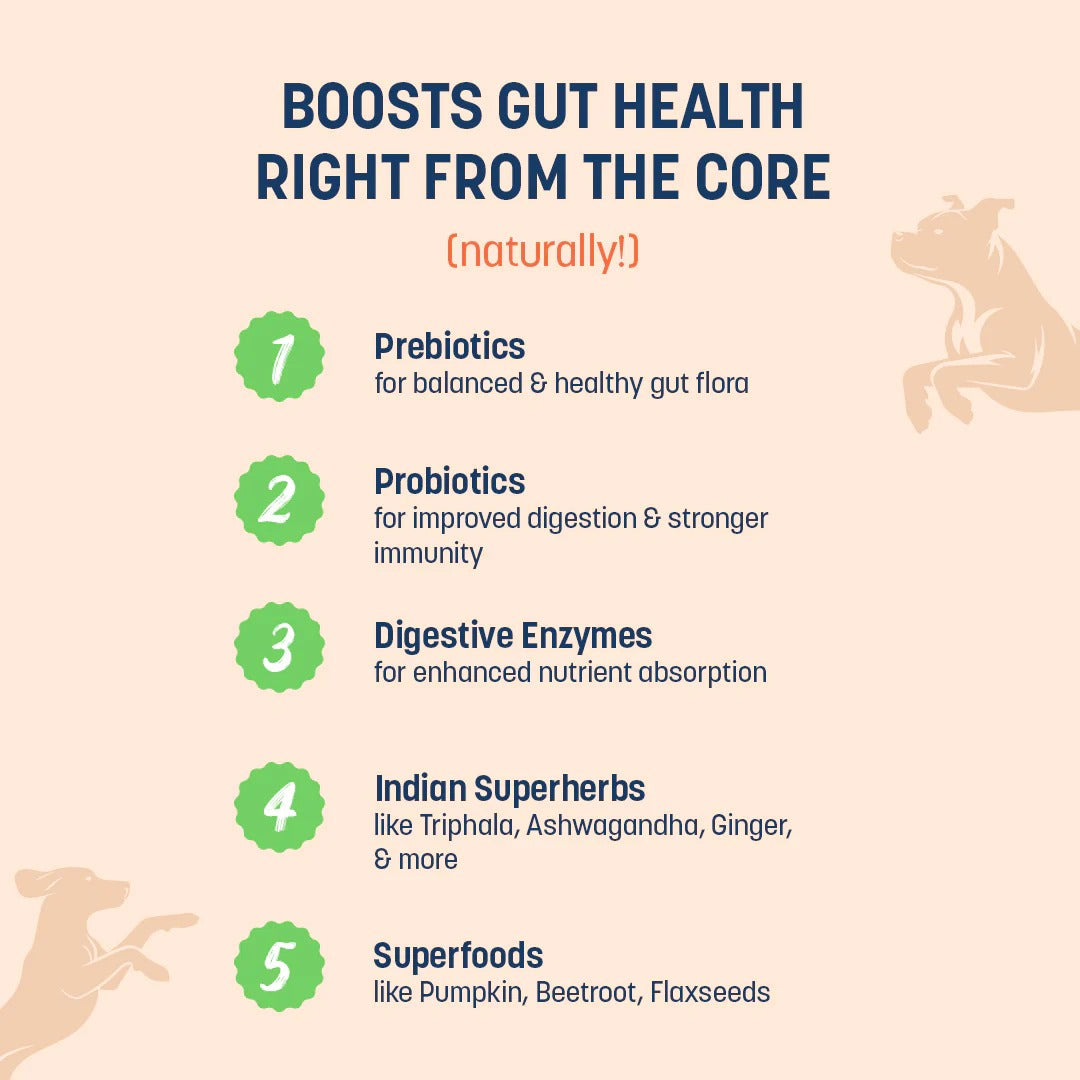 Sara's Boosters Gut & Digestive Health Supplement For Dogs - 200 gm