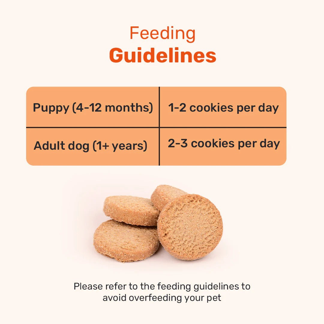 بسكويت هوفت يمت تشاي تايم سبيشال كوكونت كابانا للكلاب - 200 غرام