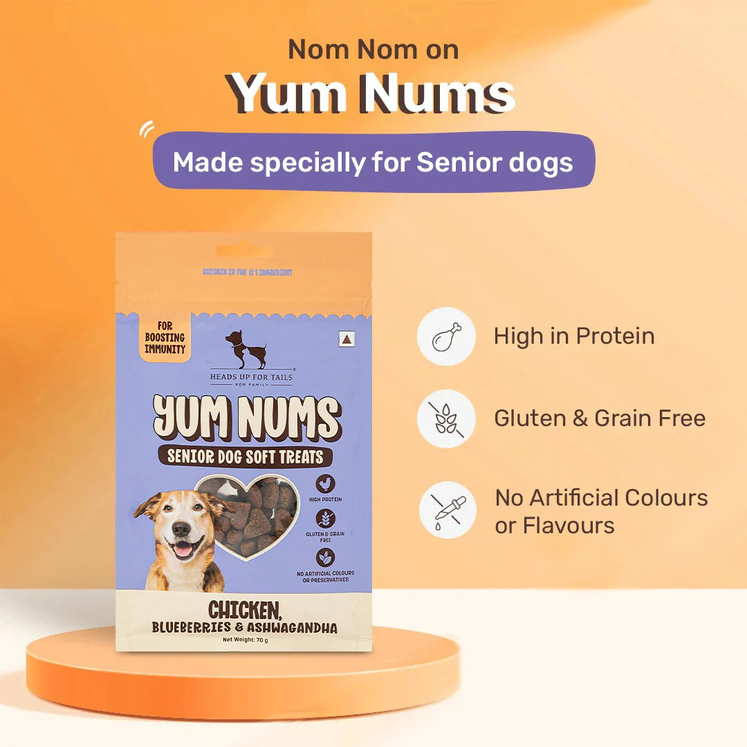 HUFT Yum Nums Senior Dog Treats Soft & Chewy Sticks Blueberries & Ashwagandha With Chicken - 70 gm