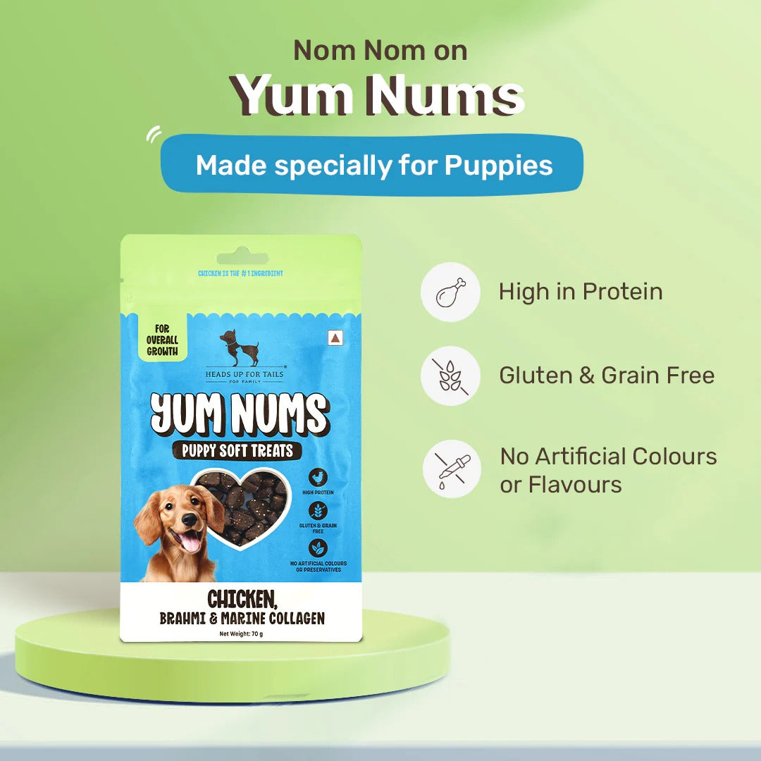 HUFT Yum Nums Puppy Treats Soft & Chewy Sticks Brahmi & Marine Collagen With Chicken- 70 gm