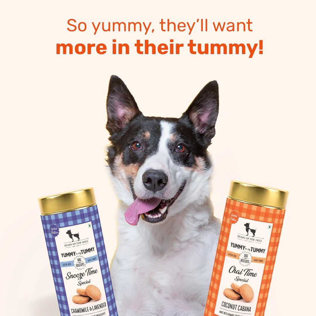 بسكويت هوفت يمت تشاي تايم سبيشال كوكونت كابانا للكلاب - 200 غرام