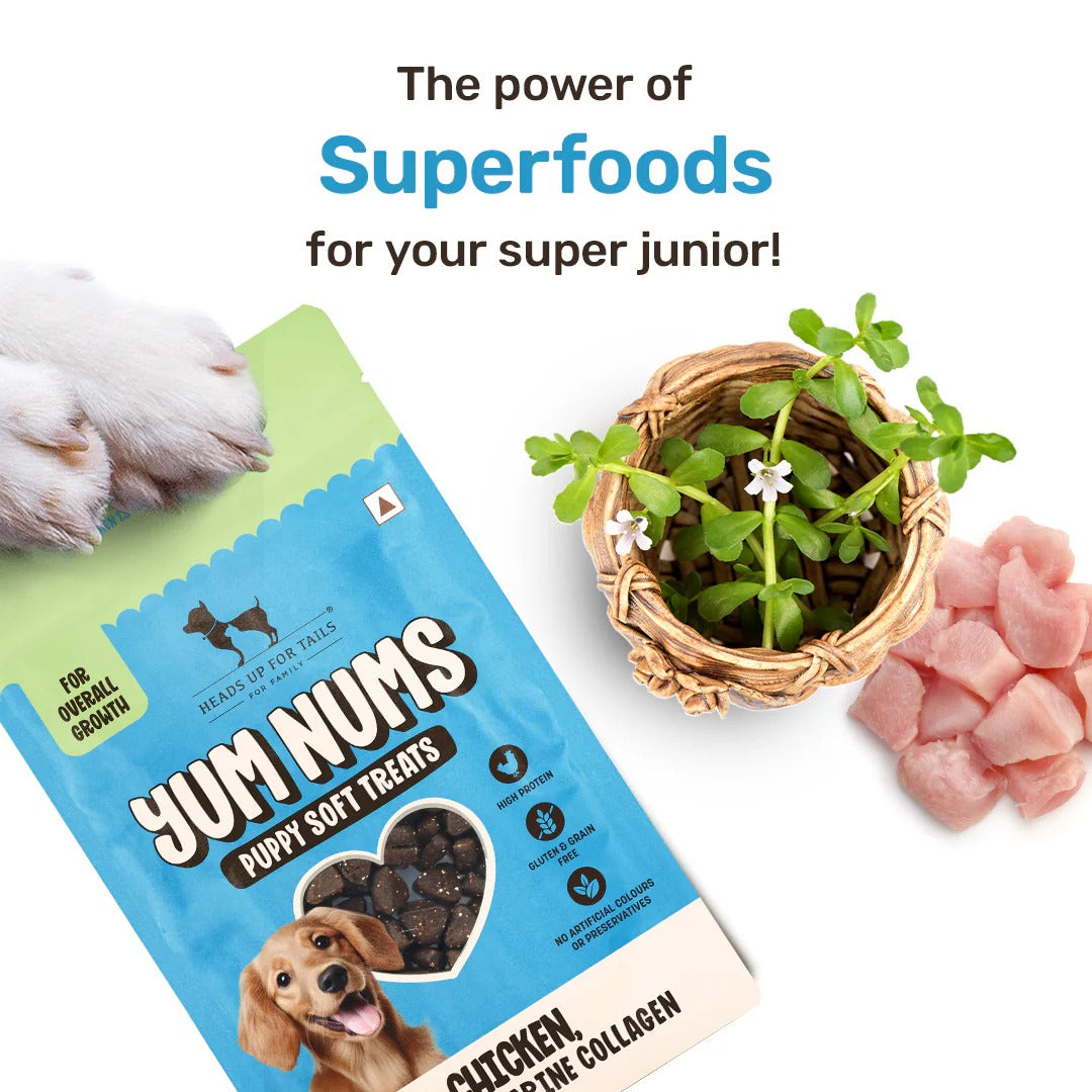 HUFT Yum Nums Puppy Treats Soft & Chewy Sticks Brahmi & Marine Collagen With Chicken- 70 gm