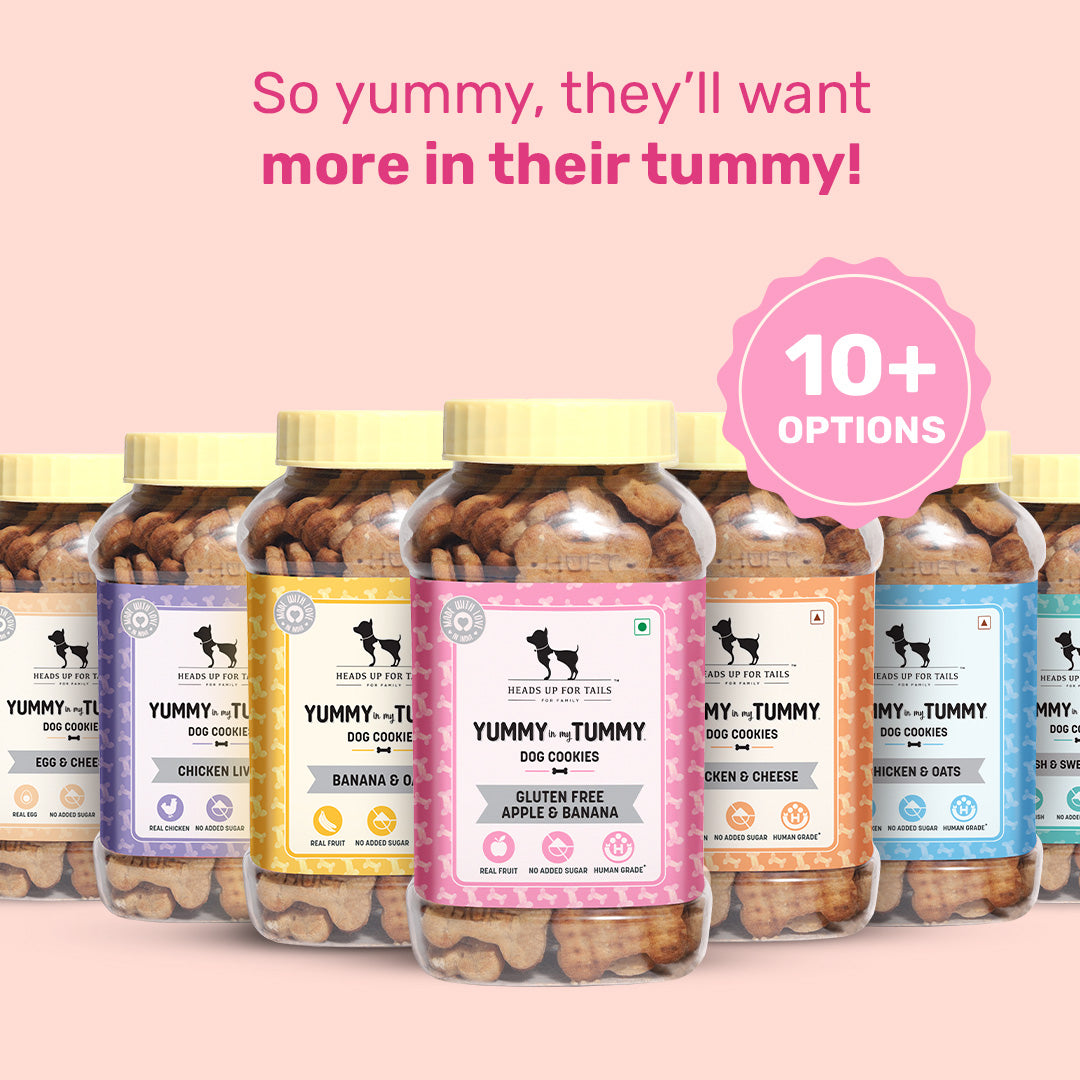 HUFT YIMT Apple & Banana Vegetarian Dog Biscuits - Gluten Free - Heads Up For Tails