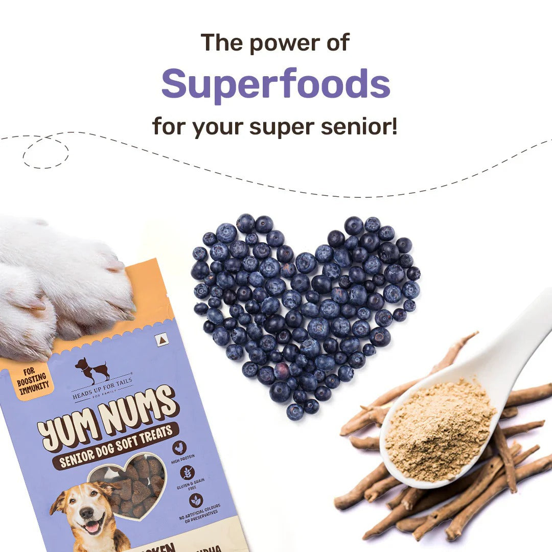 HUFT Yum Nums Senior Dog Treats Soft & Chewy Sticks Blueberries & Ashwagandha With Chicken - 70 gm