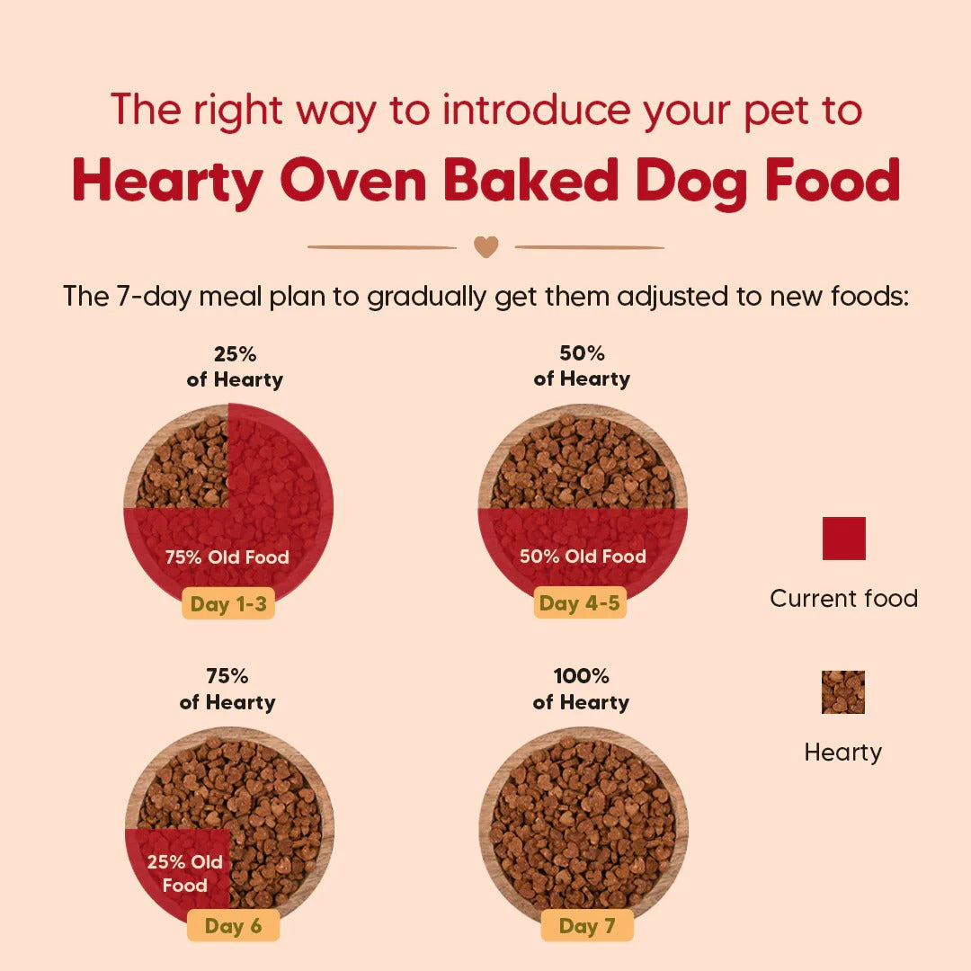 Hearty Turkey, Fish & Chicken Grain-Free Oven-Baked Adult Dog Food - All Breeds