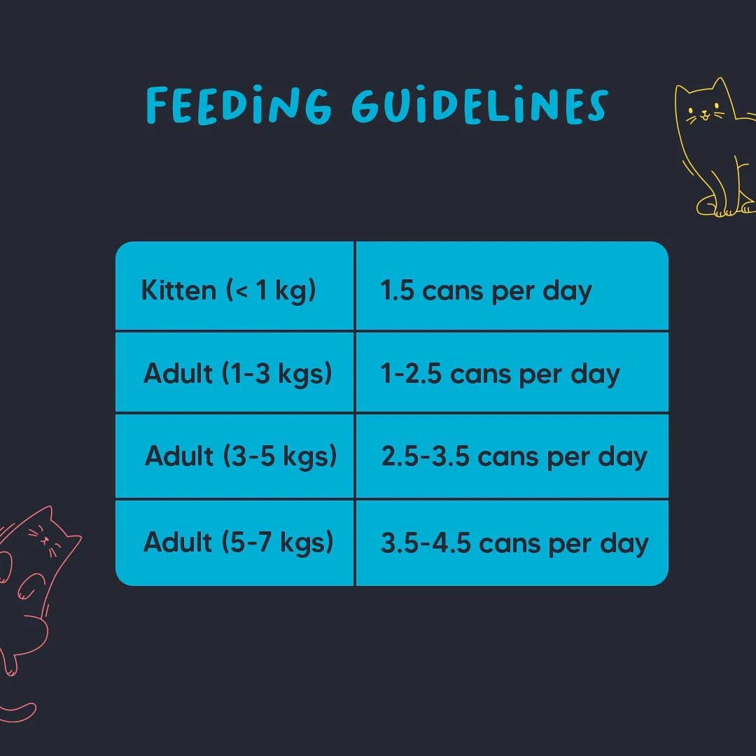 Meowsi by HUFT Tuna & Shrimp Mousse Canned Cat Wet Food - 80 gm