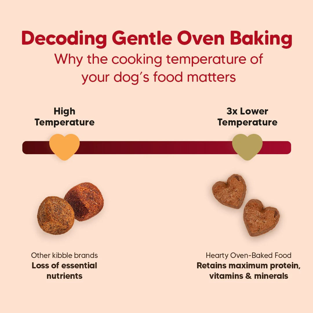 Hearty Turkey, Fish & Chicken Grain-Free Oven-Baked Adult Dog Food - All Breeds