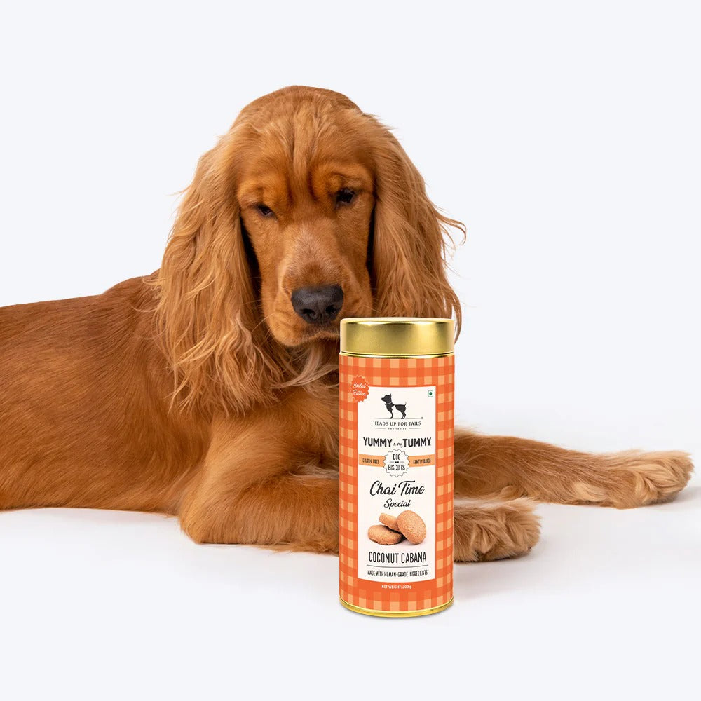 بسكويت هوفت يمت تشاي تايم سبيشال كوكونت كابانا للكلاب - 200 غرام
