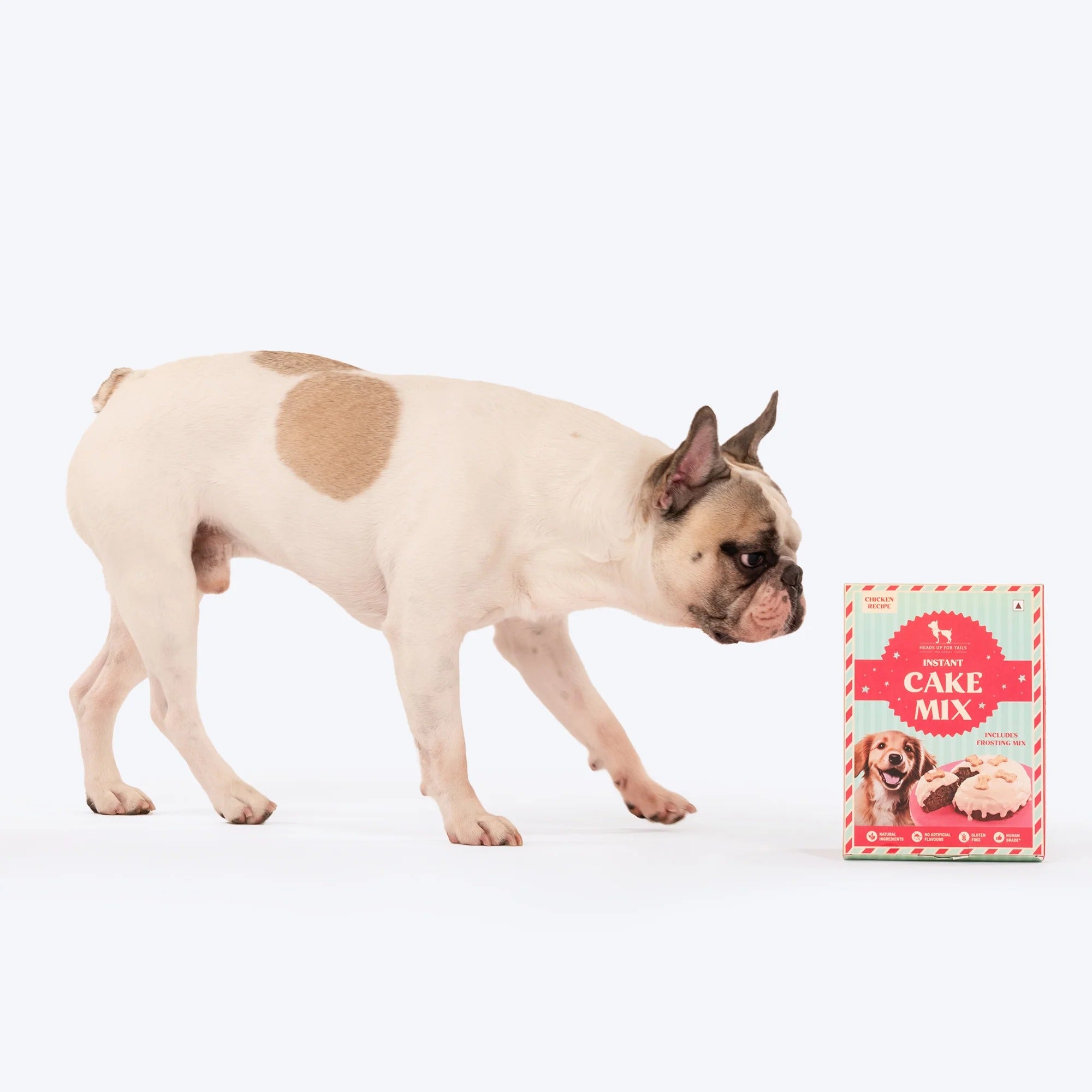 HUFT Instant Cake Mix for Dogs - 190 g