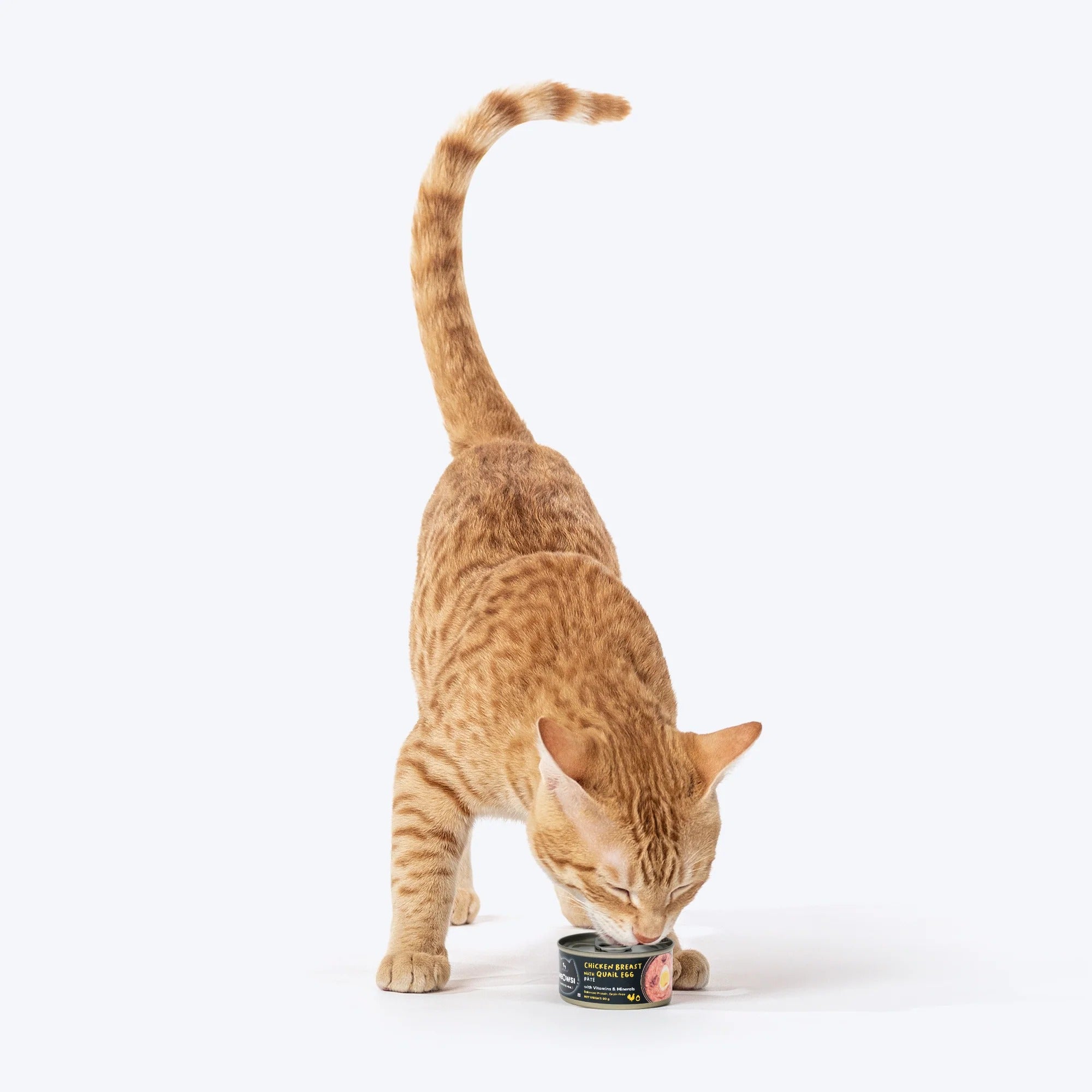 Meowsi by HUFT Chicken Breast With Quail Egg Pate Canned Cat Wet Food - 80 gm