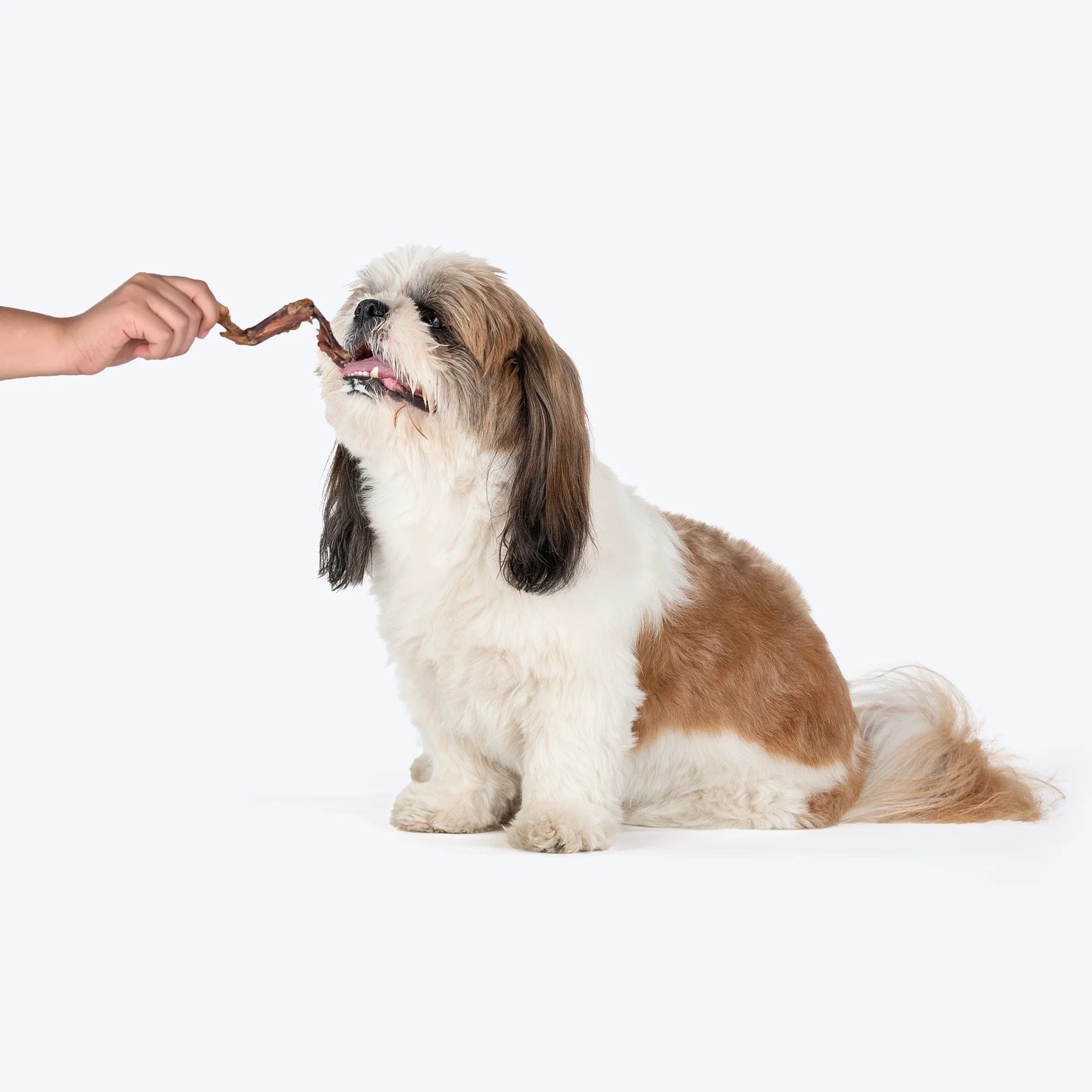 HUFT Natural Chews - Dehydrated Chicken Wings For Dog - 70g