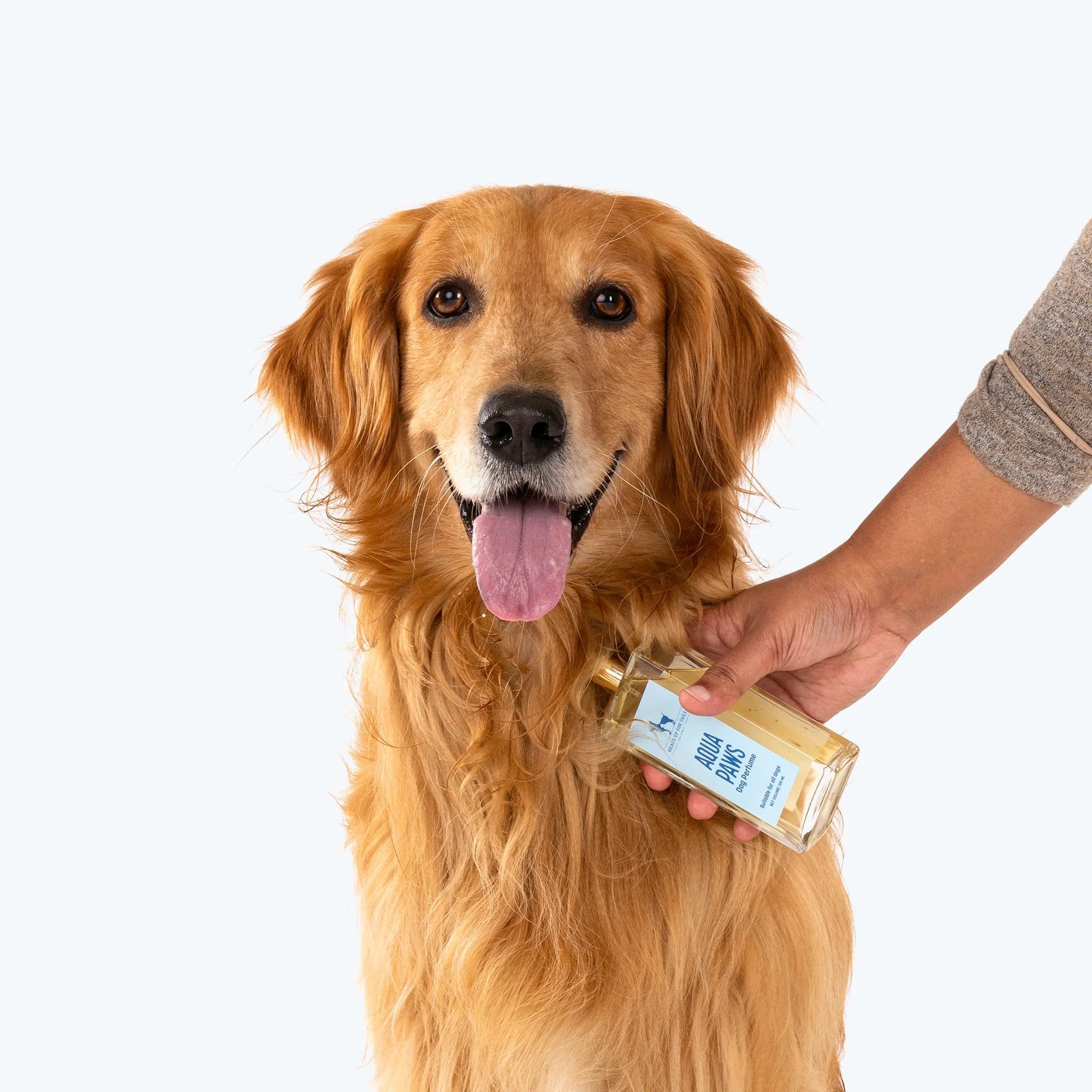 عطر أكوا باوز للكلاب من هوفت (لأكثر من 12 أسبوعًا) - 100 مل