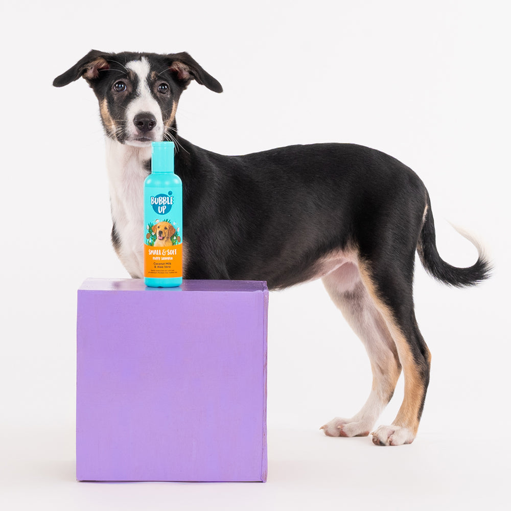 Bubble Up - Small & Soft Puppy Shampoo-4