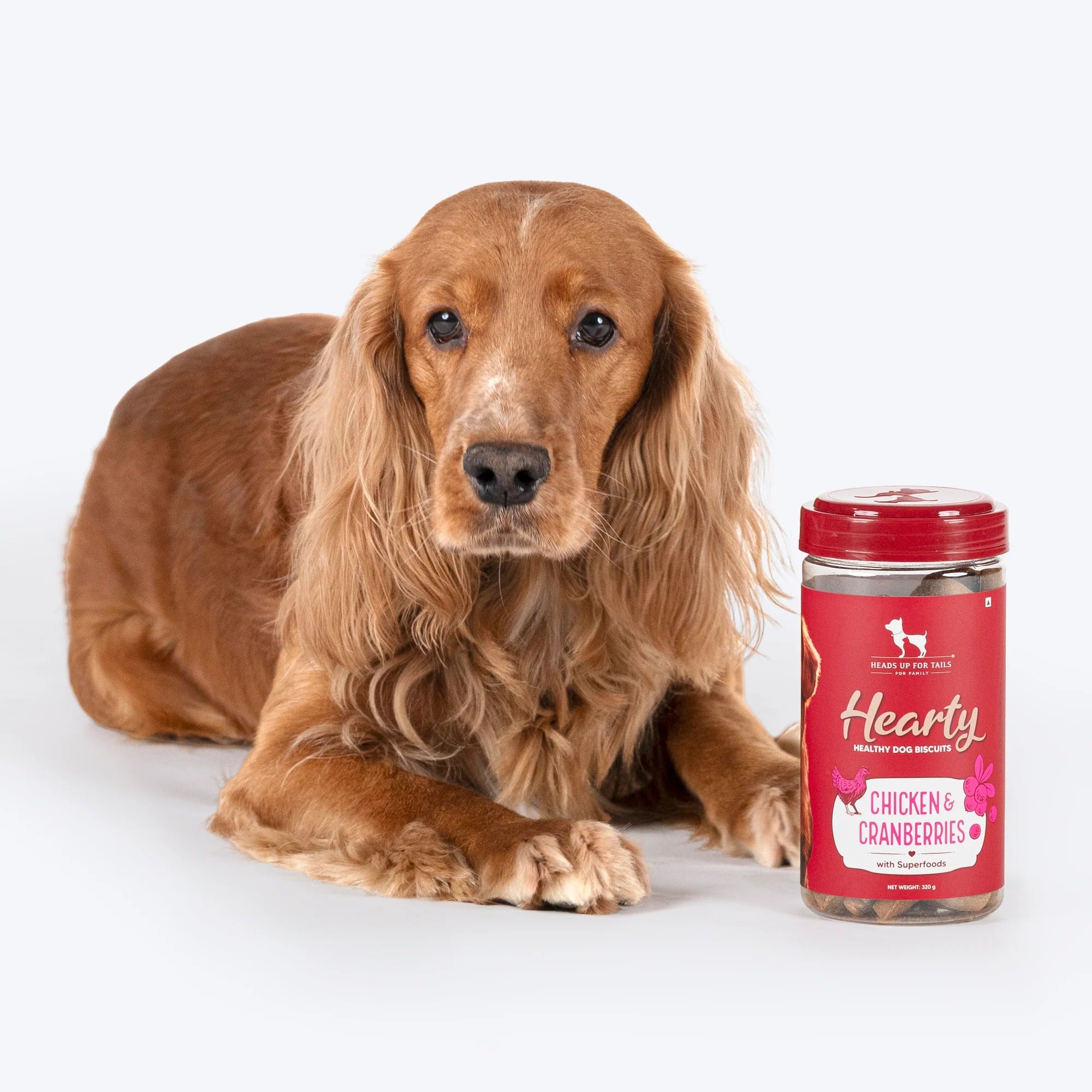Hearty Chicken & Cranberries Healthy Dog Biscuits - 320 gm
