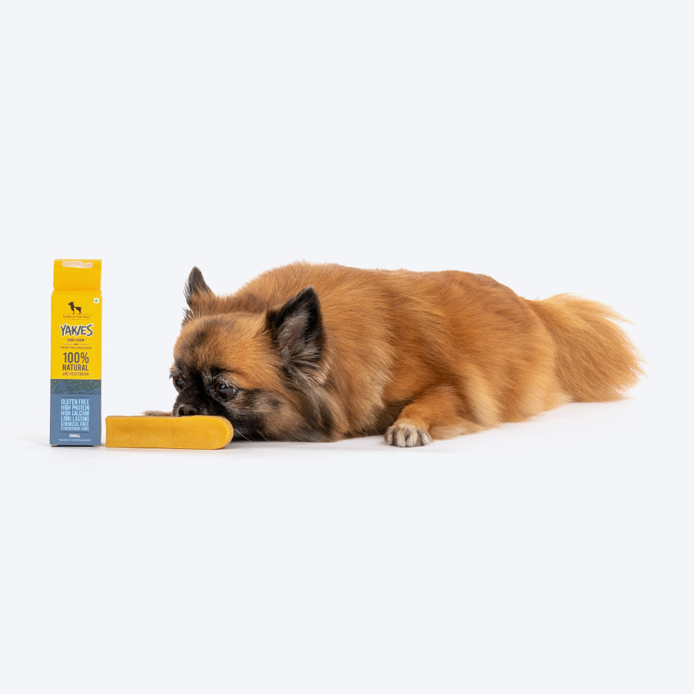 HUFT Yakies Vegetarian Natural Chew Bone - Heads Up For Tails