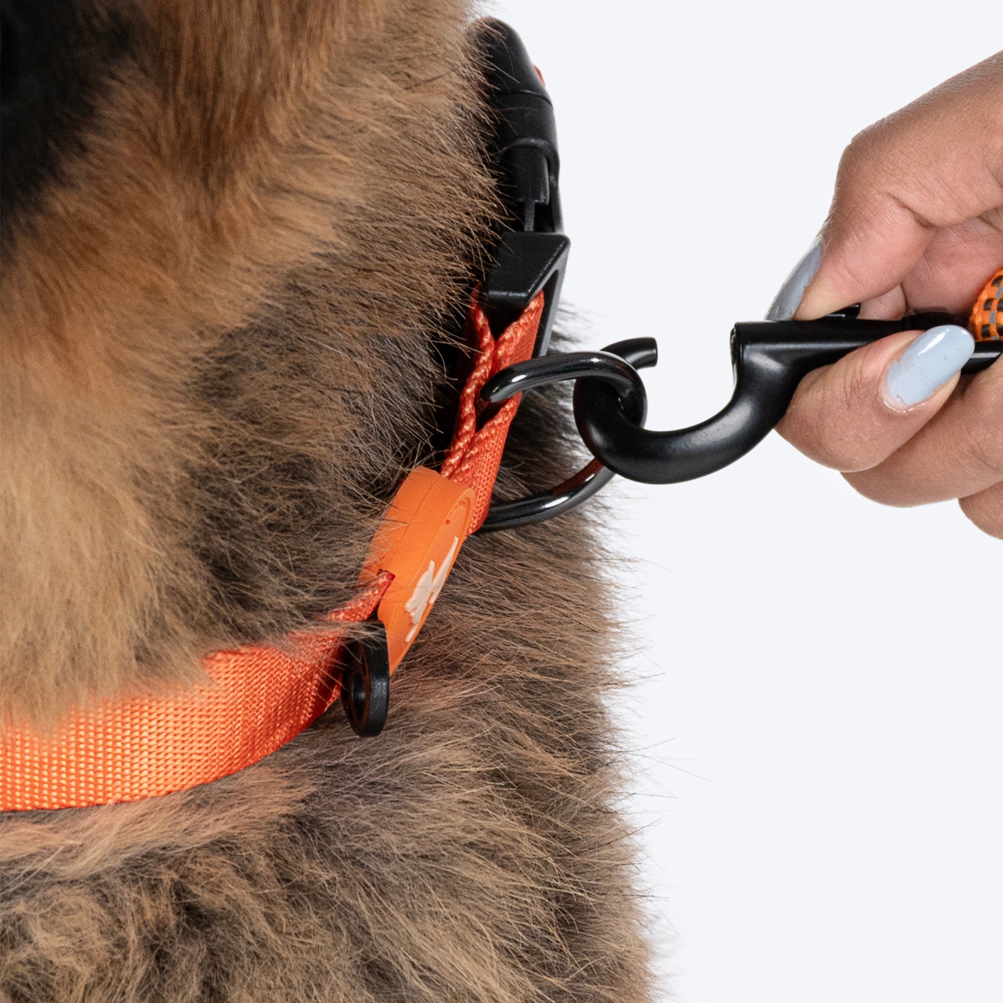 HUFT Rope Leash For Dog - Orange - 1.2 m - Heads Up For Tails