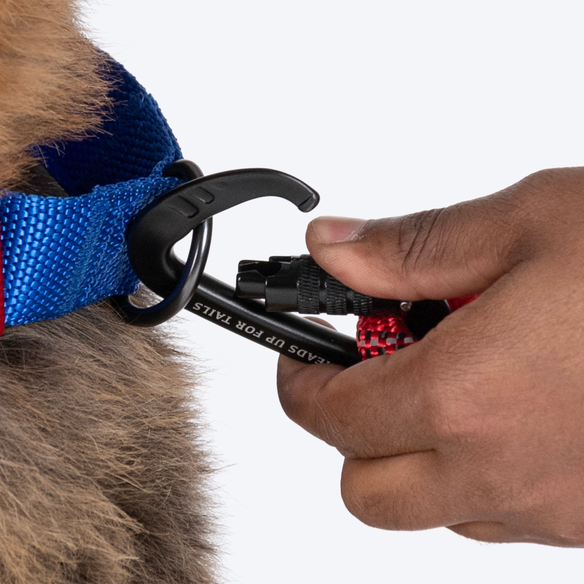 HUFT Rope Leash With Carabiner For Dog - Red - 1.2 m - Heads Up For Tails