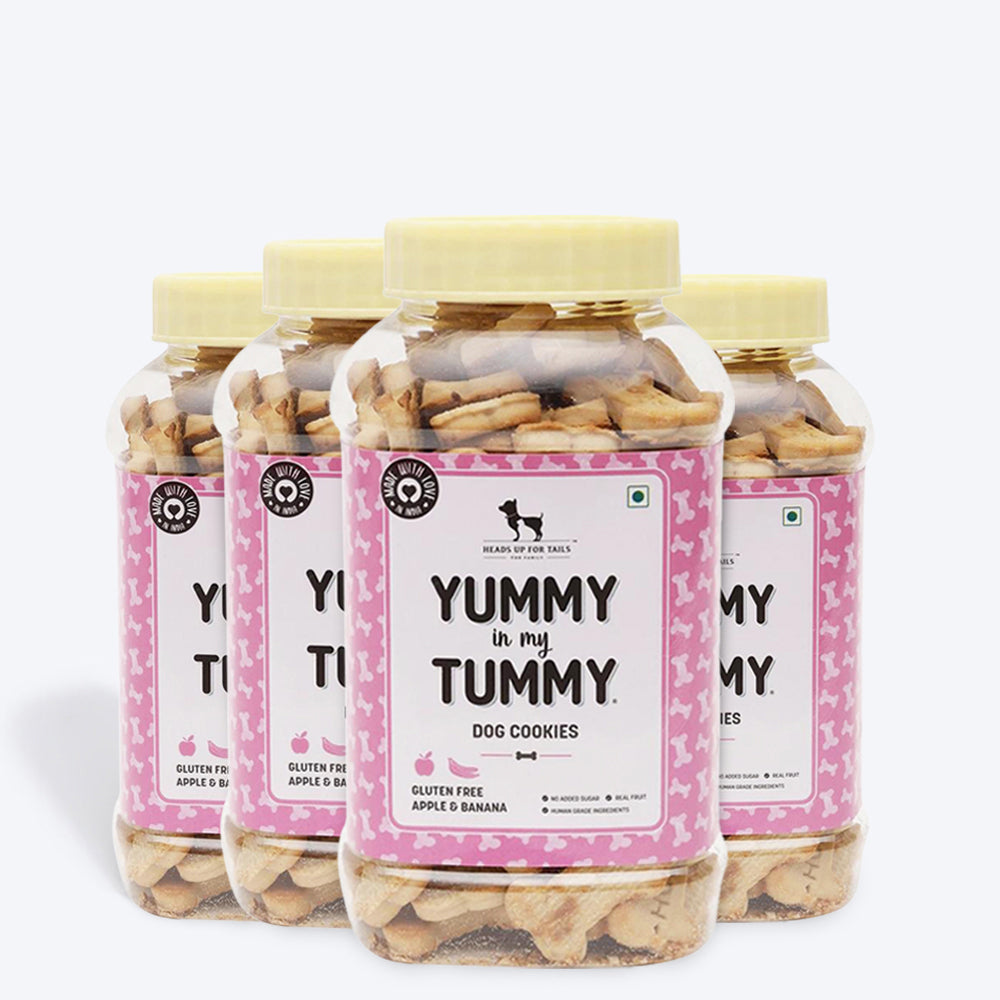 HUFT YIMT Apple & Banana Vegetarian Dog Biscuits - Gluten Free - Heads Up For Tails