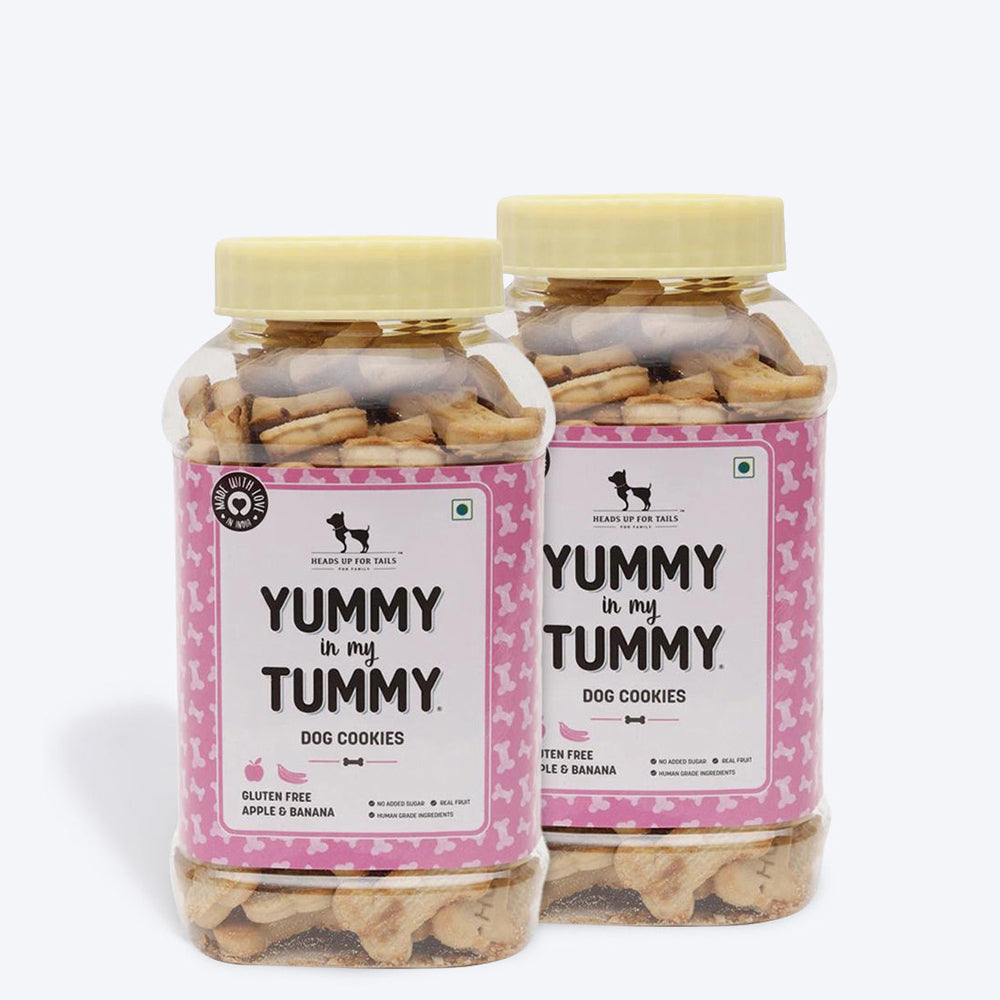 HUFT YIMT Apple & Banana Vegetarian Dog Biscuits - Gluten Free - Heads Up For Tails