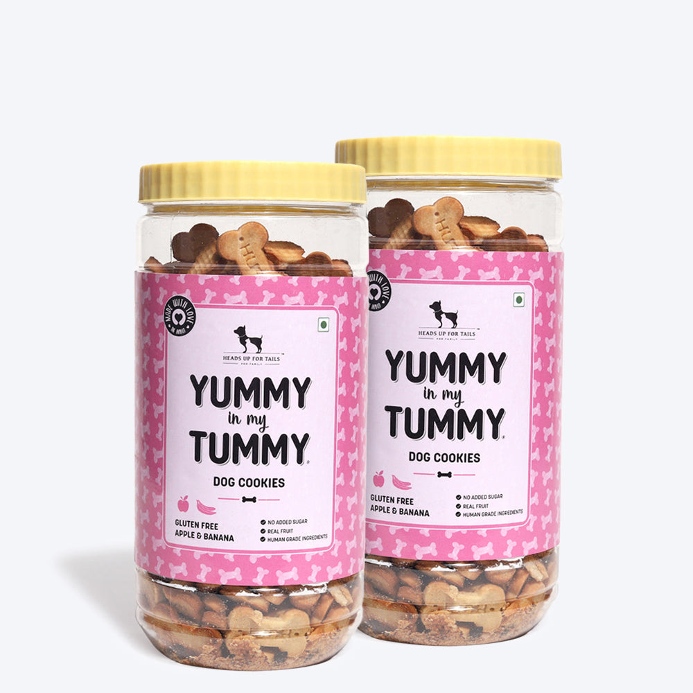 HUFT YIMT Apple & Banana Vegetarian Dog Biscuits - Gluten Free - Heads Up For Tails
