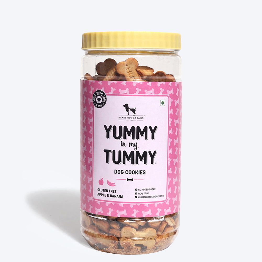 HUFT YIMT Apple & Banana Vegetarian Dog Biscuits - Gluten Free - Heads Up For Tails