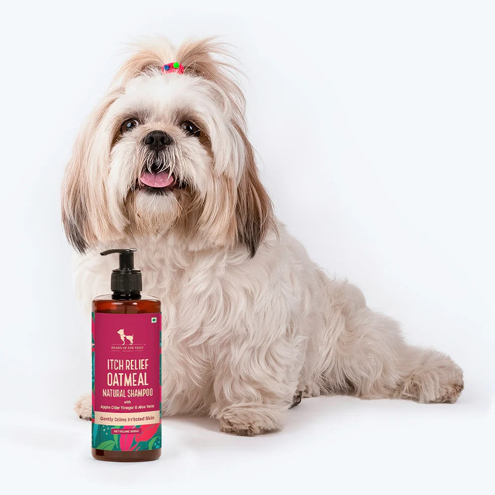 HUFT Natural Itch Relief Oatmeal Shampoo For Dog - Apple Cider Vinegar & Aloe Vera - 200 ml