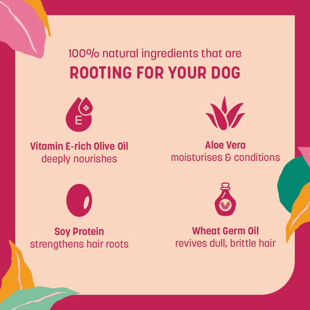 HUFT 4-in-1 Shampoo & Conditioner For Dog