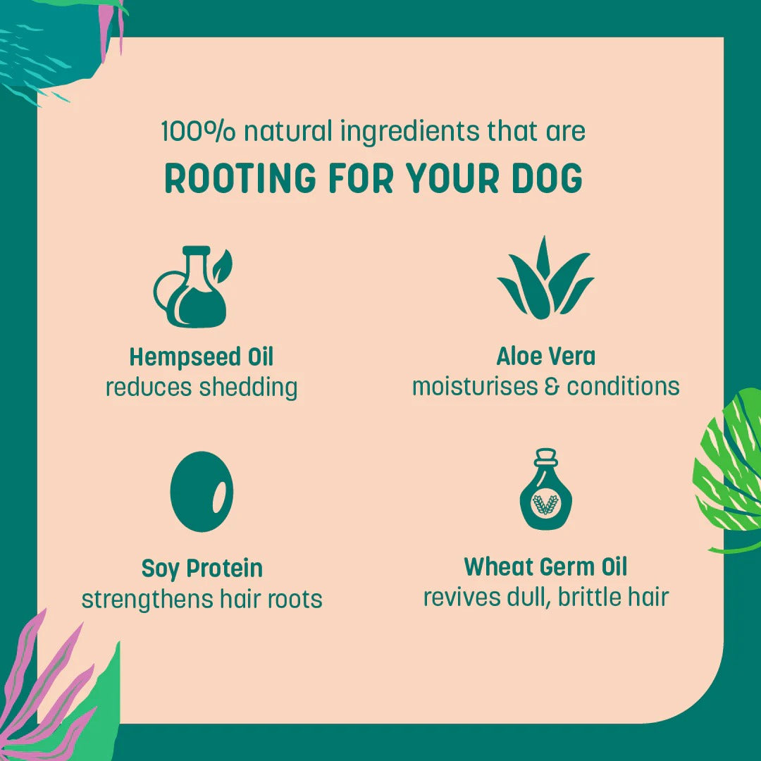 شامبو HUFT الطبيعي للتحكم في تساقط شعر الكلاب - 200 مل
