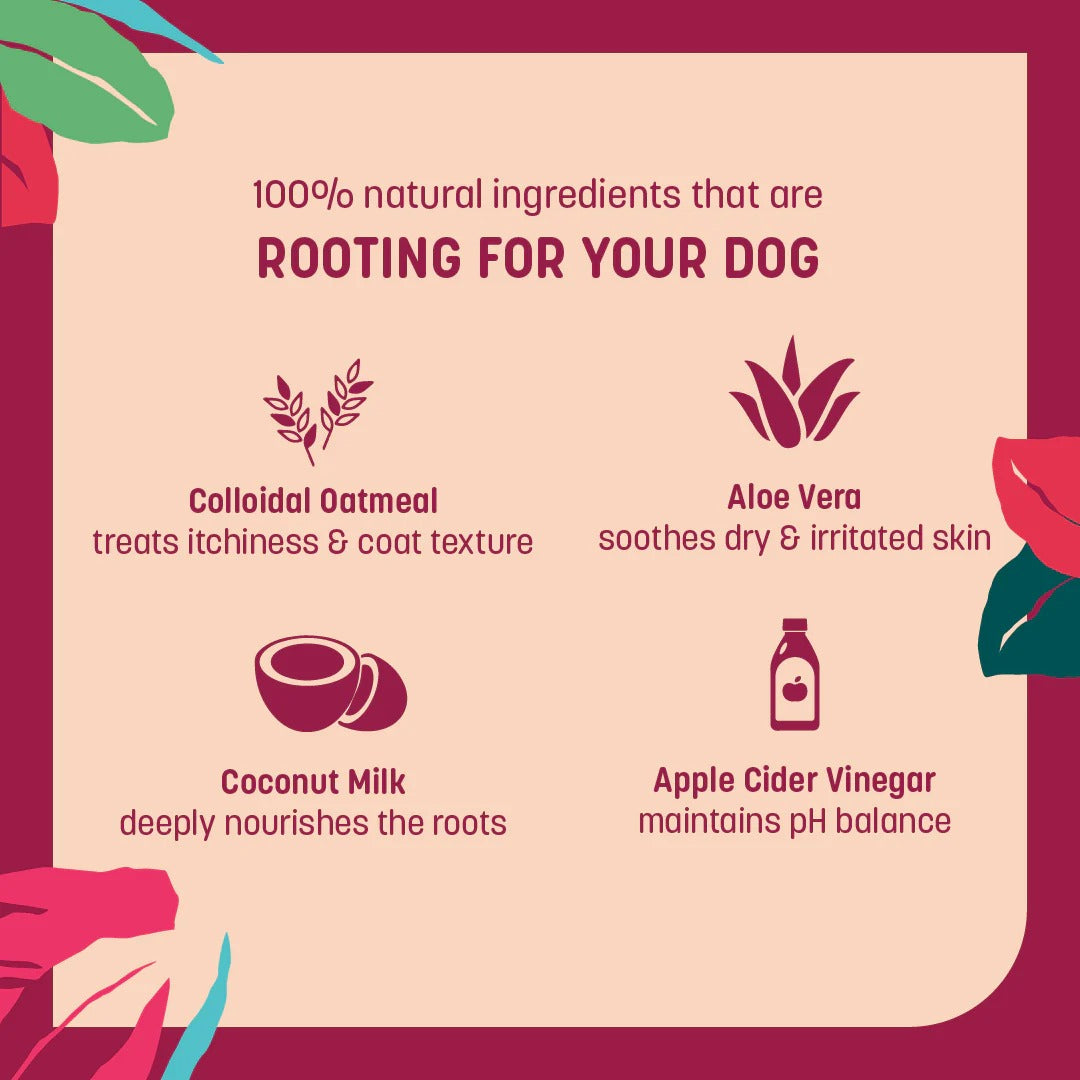 HUFT Natural Itch Relief Oatmeal Shampoo For Dog - Apple Cider Vinegar & Aloe Vera - 200 ml