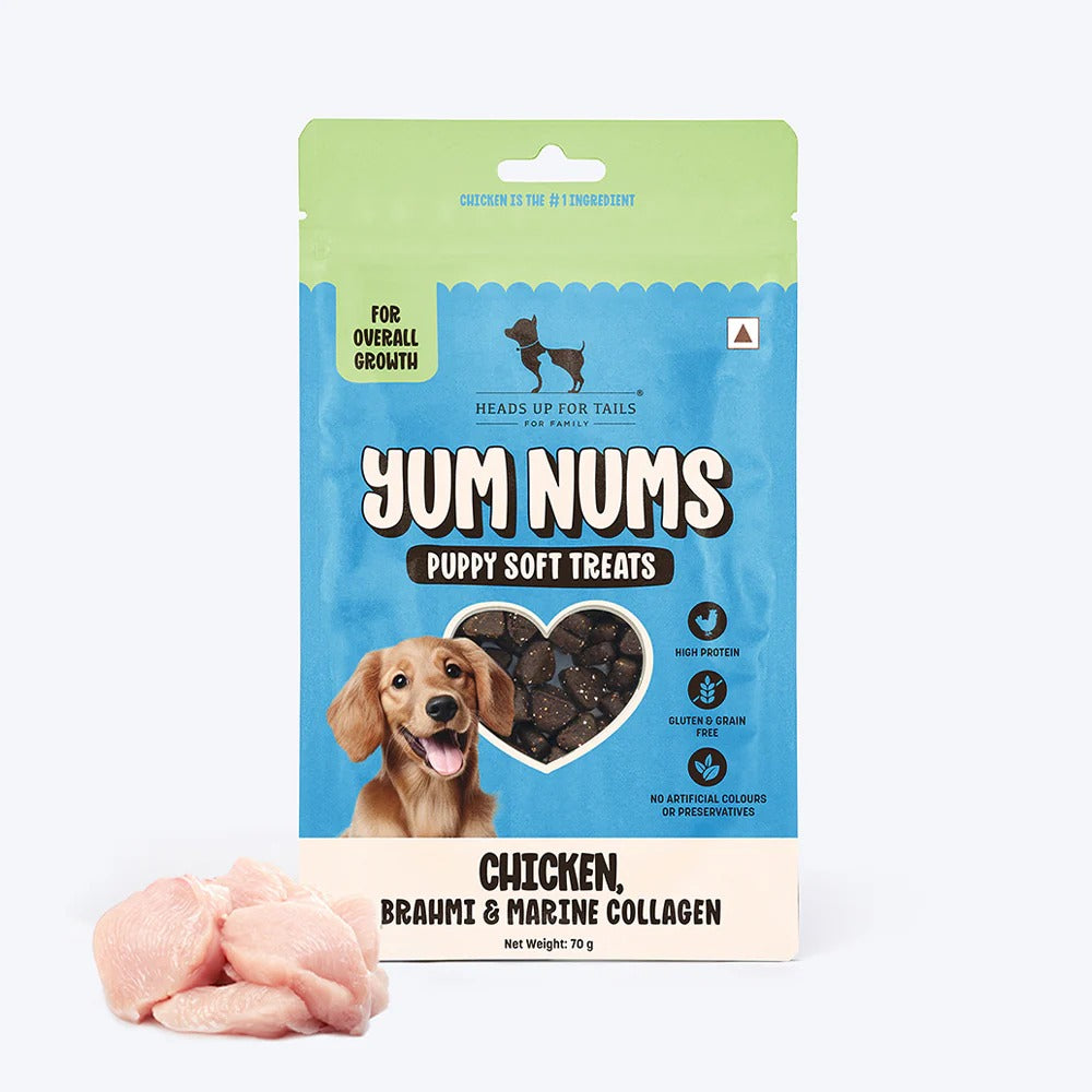 HUFT Yum Nums Puppy Treats Soft & Chewy Sticks Brahmi & Marine Collagen With Chicken- 70 gm