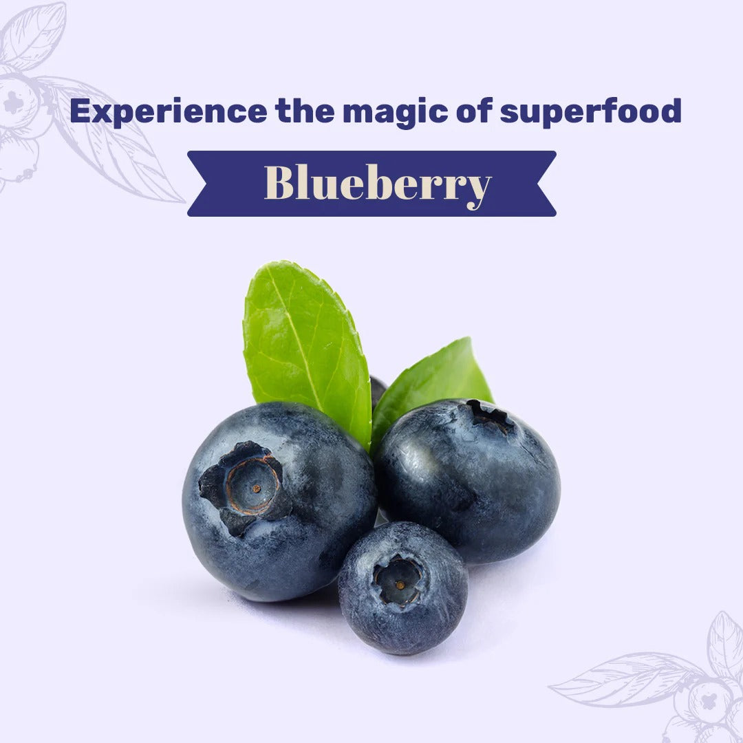 HUFT Goat Milk Dog Cookies - Blueberry - 200 g