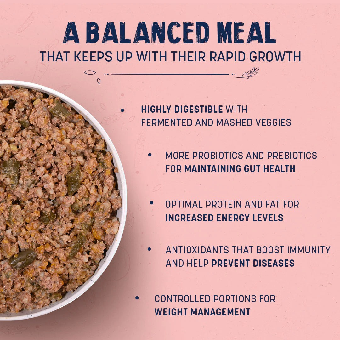 طعام سارة الرطب الصحي للجراء بنكهة الدجاج والأرز البني - 100 غرام