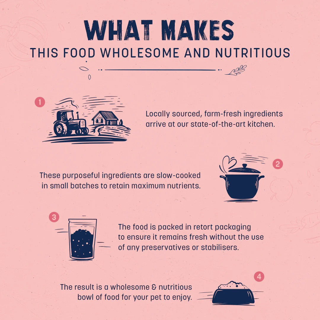 طعام سارة الرطب الصحي للجراء بنكهة الدجاج والأرز البني - 100 غرام