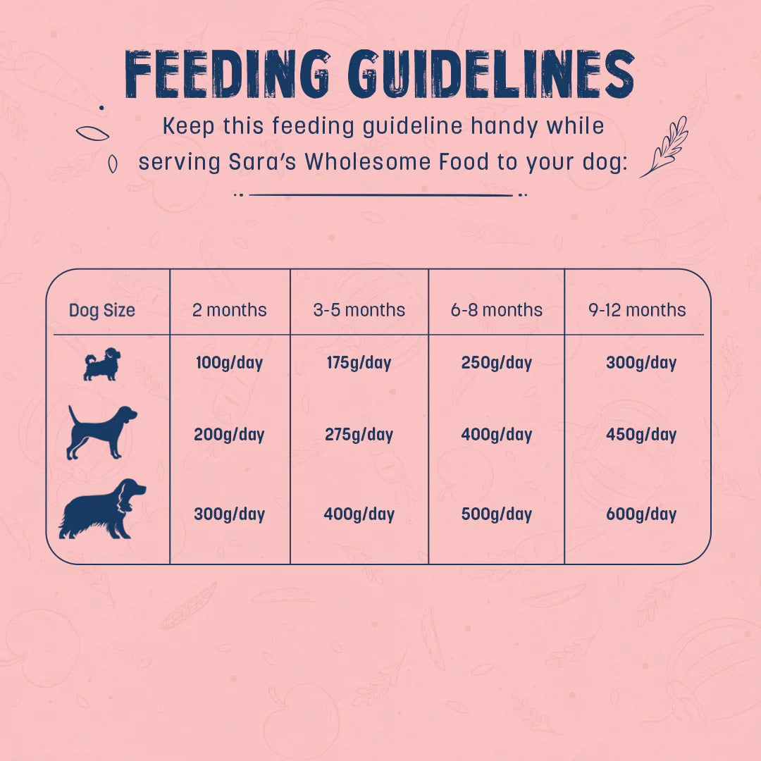 طعام سارة الرطب الصحي للجراء بنكهة الدجاج والأرز البني - 100 غرام